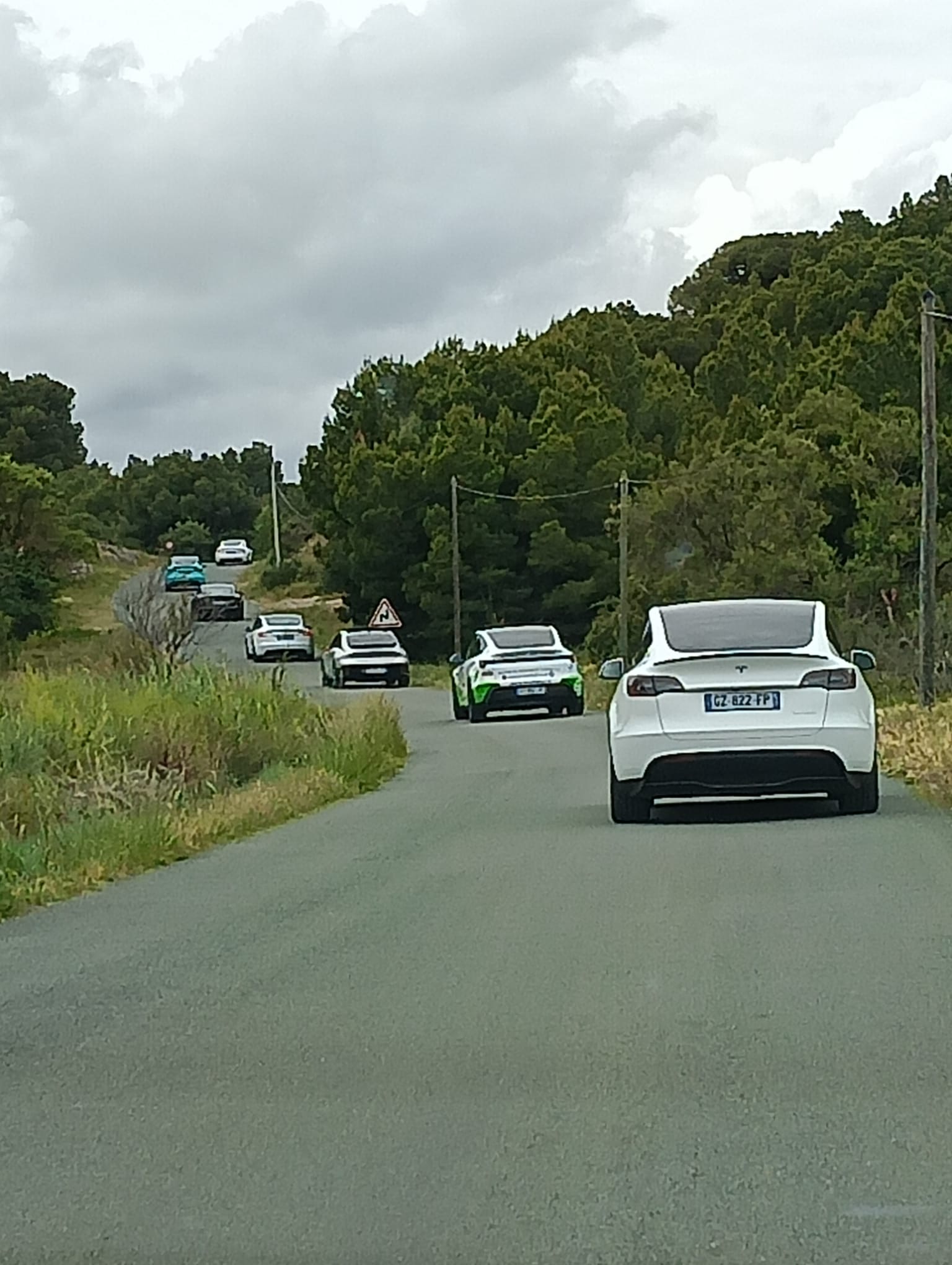 Convoi Tesla Owners Group France
